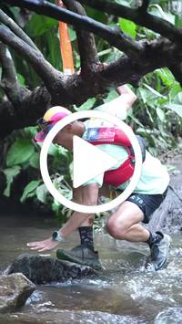 BIB:  <button type="button" onclick="openModal(27824715)" class="btn btn-primary btn-sm float-right" data-toggle="modal" data-target=".modal-high-quality">
                <i class="fa fa-download"></i> Download
                </button>